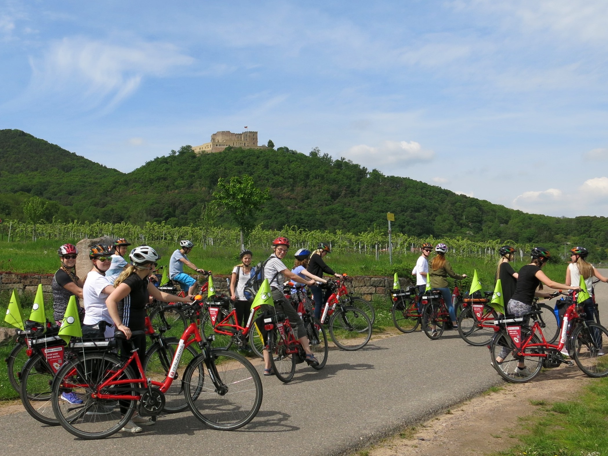 Beim Betriebsausflug mit genussradeln-pfalz  bequem mit Pedelecs die Deutsche Weinstraße erkunden