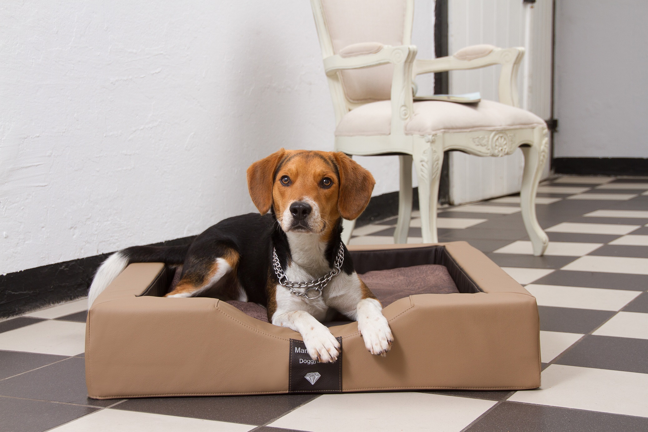 GEL-Hundebett Compact Style