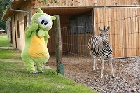 Aigolino im Zoo mit Zebra (AIGO)