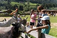Alpizoo (Alphotel Tyrol)