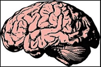 Die Forschung bei Alzheimer ist nicht ausreichend Die Forschung bei Alzheimer ist nicht ausreichend