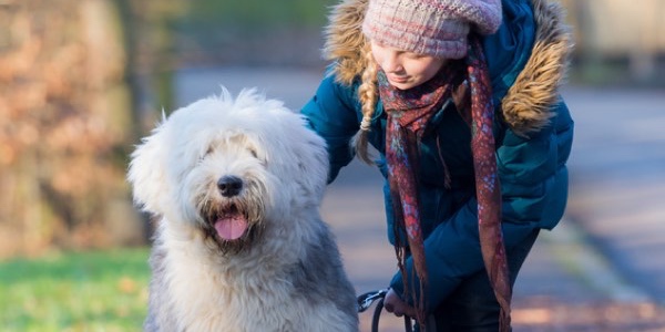 Die Art der Pflegerituale resultiert aus dem Fell des Hundes. (Bildquelle:©Picture-Factory - Fotolia Die Art der Pflegerituale resultiert aus dem Fell des Hundes. (Bildquelle:©Picture-Factory - Fotolia