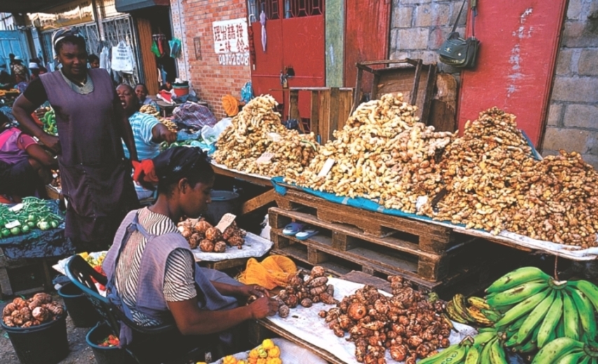 Lokale Spezialitäten auf Surinames Märkten (Bildquelle: SHATA) Lokale Spezialitäten auf Surinames Märkten (Bildquelle: SHATA)