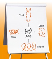 4D - Feedback = Rückmeldung aus vier verschiedenen Dimensionen 4D - Feedback = Rückmeldung aus vier verschiedenen Dimensionen