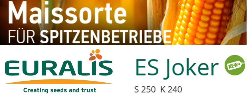 Die ertragsstärkste Neuzulassung 2018