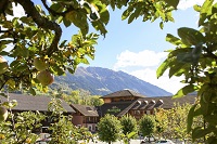 Montafoner Hof im Sommer (c) Patrick Säly (Hotel Montafoner Hof)
