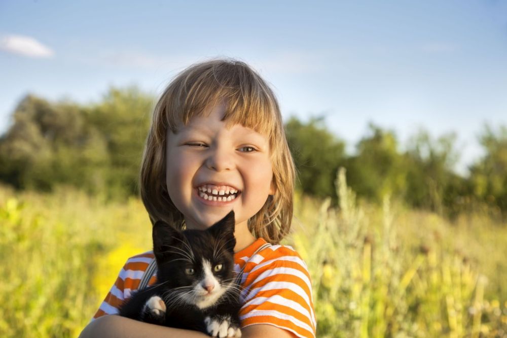 © Chepko Danil / fotolia.com © Chepko Danil / fotolia.com
