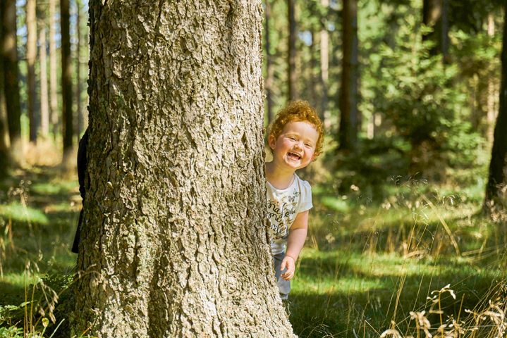 Heilklima liegt in der Luft und wirktüberall positiv auf uns?auch hinter dem nächsten Baum. (Bildque