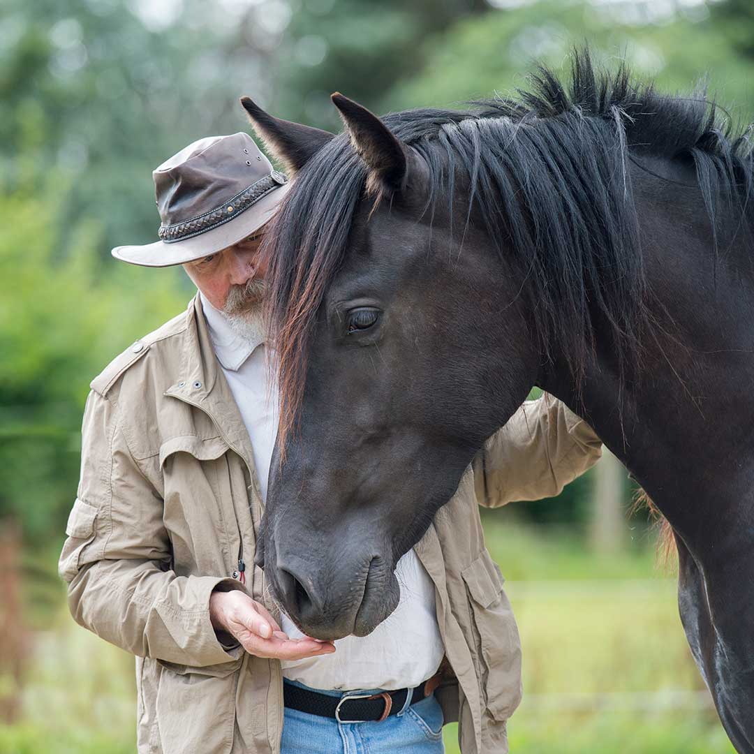 Gerhard J. Krebs, HorseDream Geschäftsführer, Führungskräftetrainer und Coach. Gerhard J. Krebs, HorseDream Geschäftsführer, Führungskräftetrainer und Coach.