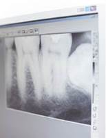 smilin??: 3-D-Entdeckungsreise im Gebiss©smilin??