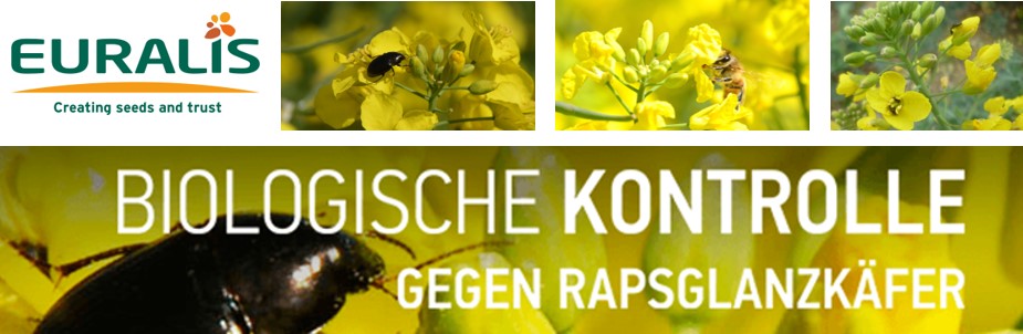 EURALIS Käfer Kontrolle EURALIS Käfer Kontrolle