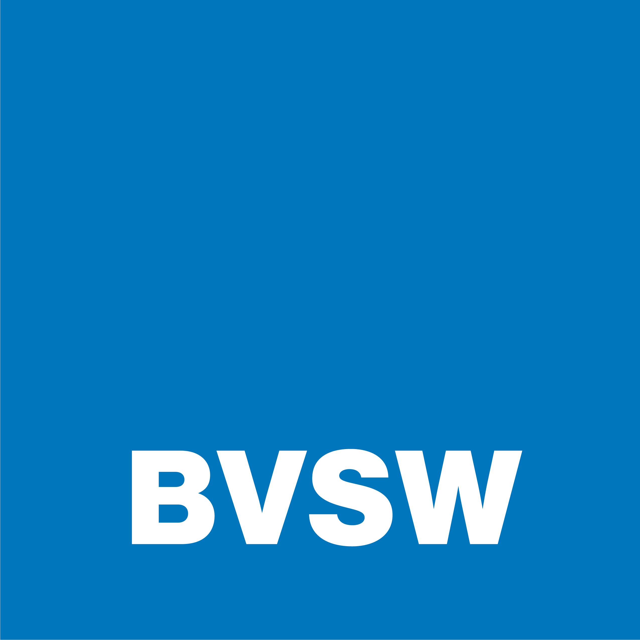 Bayerischer Verband für Sicherheit in der Wirtschaft (Bildquelle: BVSW)