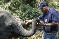 VIER PFOTEN Tierarzt Dr. Amir Khalil mit Elefanten © VIER PFOTEN, Hristo Vladev VIER PFOTEN Tierarzt Dr. Amir Khalil mit Elefanten © VIER PFOTEN, Hristo Vladev