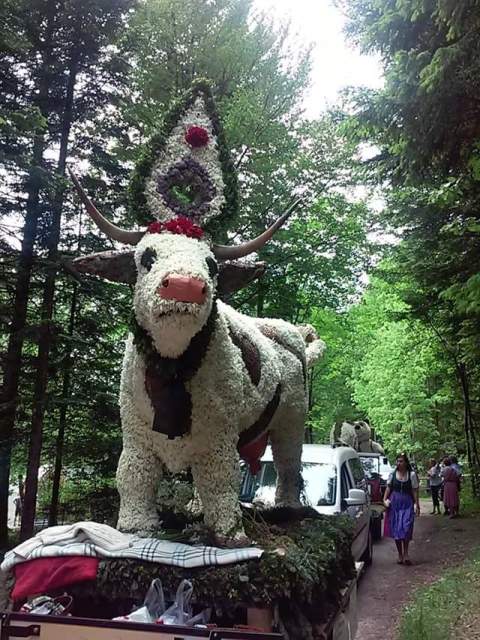 Altausseer Narzissenfest Leitnervilla vegan