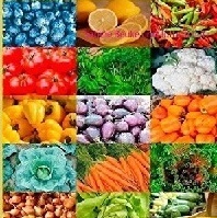 Die kohlenhydratarme Küche mit vegetarischen Rezepten Die kohlenhydratarme Küche mit vegetarischen Rezepten