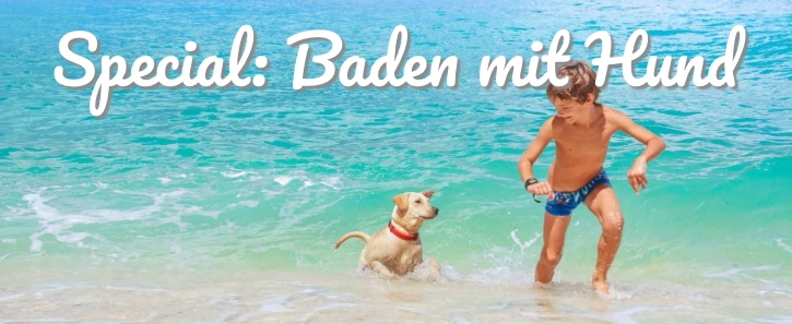Baden mit Hund im Urlaub. hunde-urlaub.net weißdie schönsten Bademöglichkeiten mit Hund. Baden mit Hund im Urlaub. hunde-urlaub.net weißdie schönsten Bademöglichkeiten mit Hund.