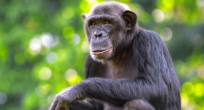 Gutscheine für Tierparks Gutscheine für Tierparks