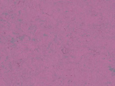 Forbo Linoleum Marmoleum purple glow uni (Bildquelle: @ Forbo)