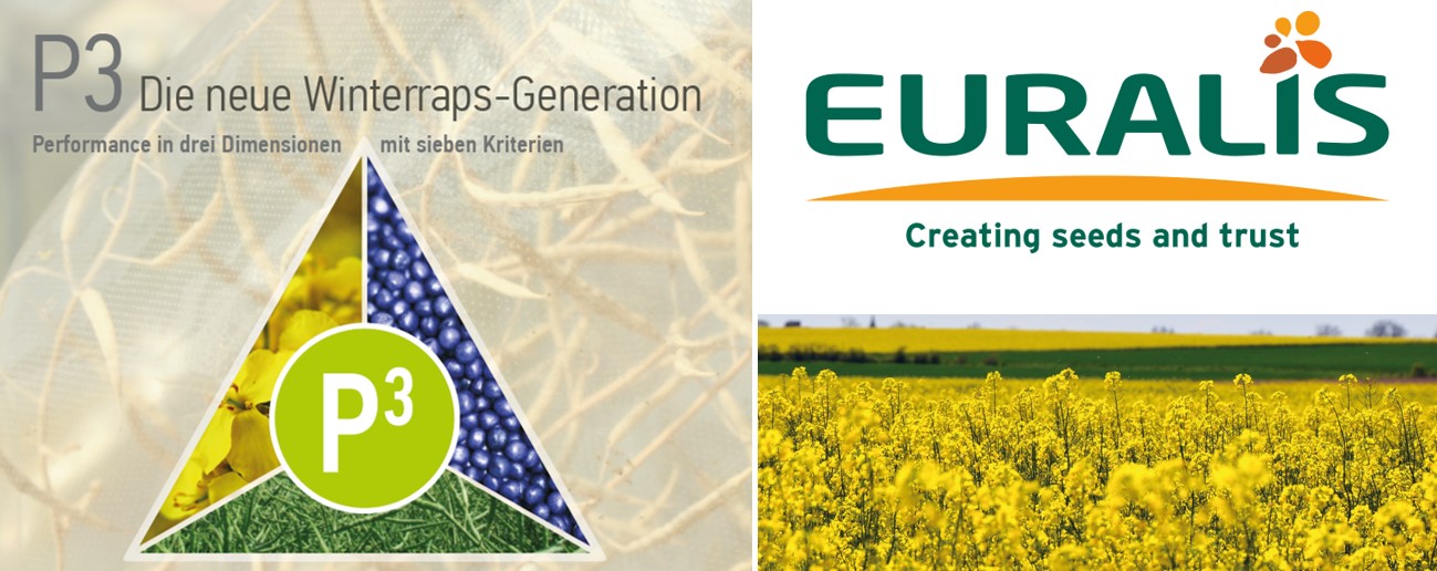 EURALIS Saaten GmbH EURALIS Saaten GmbH