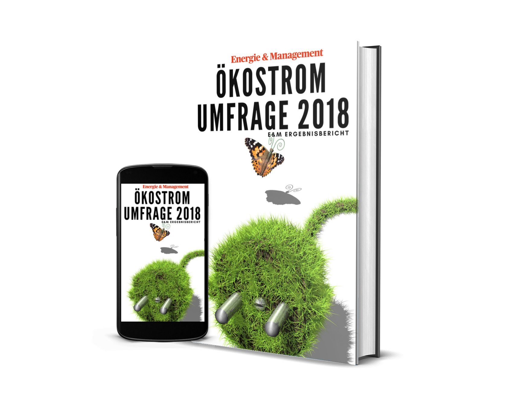 DerÖkostrommarkt scheint anzuziehen. Darauf deuten die Ergebnisse der 13. E&M-Ökostromanalyse hi