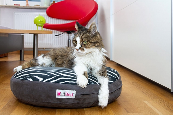 Exklusives Katzenkissen Caro Style