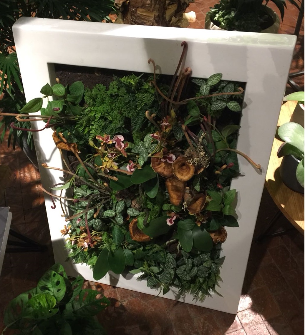 Vertikale Gärten im Haus - von Eric Mozanowski, Stuttgart/Berlin Vertikale Gärten im Haus - von Eric Mozanowski, Stuttgart/Berlin