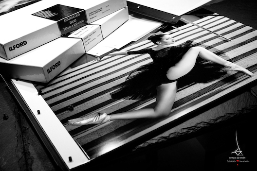 Für Museen und Galerien: Ideale Fotopräsentation mit Ilford Galerie Fine Art Album Landscape.