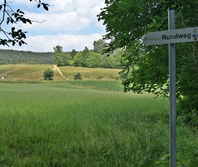 Der Essbare Wildpflanzenpark Ewilpa in Waldeck bietet viel Potential zum (Wieder-)Entdecken.