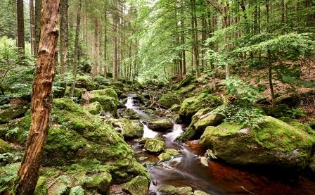 Die Steinklamm bei Spiegelau (Bildquelle: (c) Marco Felgenhauer / Woidlife Photography)