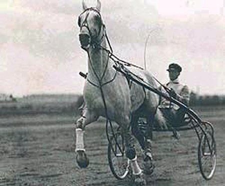 Krepysh -  Pferd des JahrhundertsBildquelle: http://kohuku.ru/uploads/posts/2011-12/1325260003_krep 