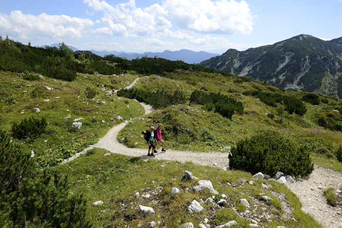 Sattgrüne Wiesen und ein imposantes Bergpanorama machen Traunsee zu einem Erlebnis. (Bildquelle: epr