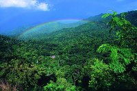 Tropisches Kuba - die Sierra Maestra zeigt sich in saftigem Grün. Foto: Fremdenverkehrsamt Kuba