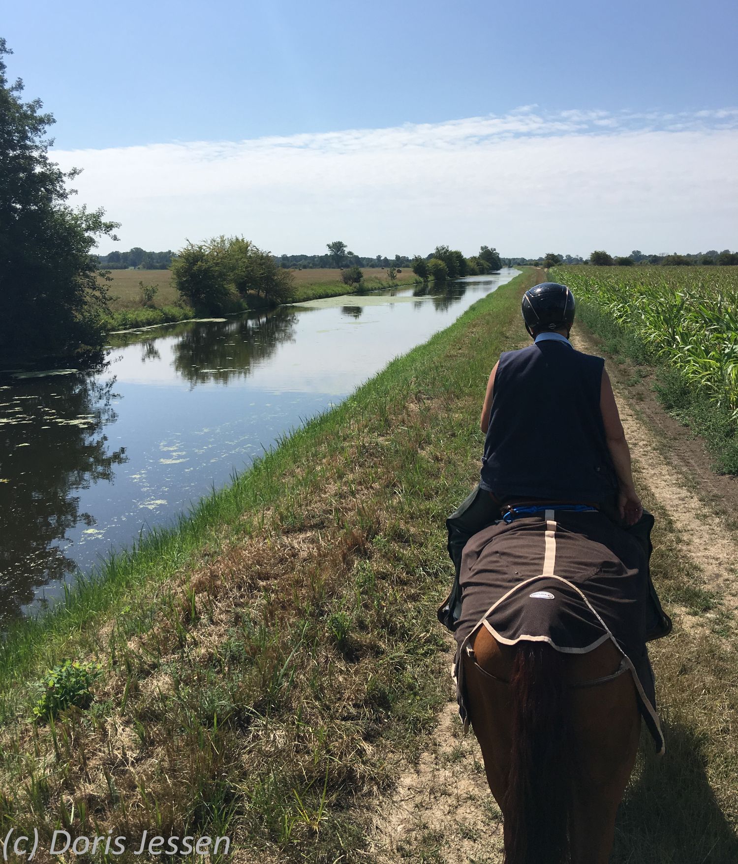 Endloses Reiten an dem Flüsschen Milde