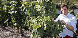 Betriebsleiter Florian Scheidt vom Weingut Albert Kallfelz in Zell-Merl © Holger Bernert Betriebsleiter Florian Scheidt vom Weingut Albert Kallfelz in Zell-Merl © Holger Bernert