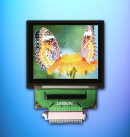OLED: kompakt, sparsam, kontraststark bei HY-LINE OLED: kompakt, sparsam, kontraststark bei HY-LINE