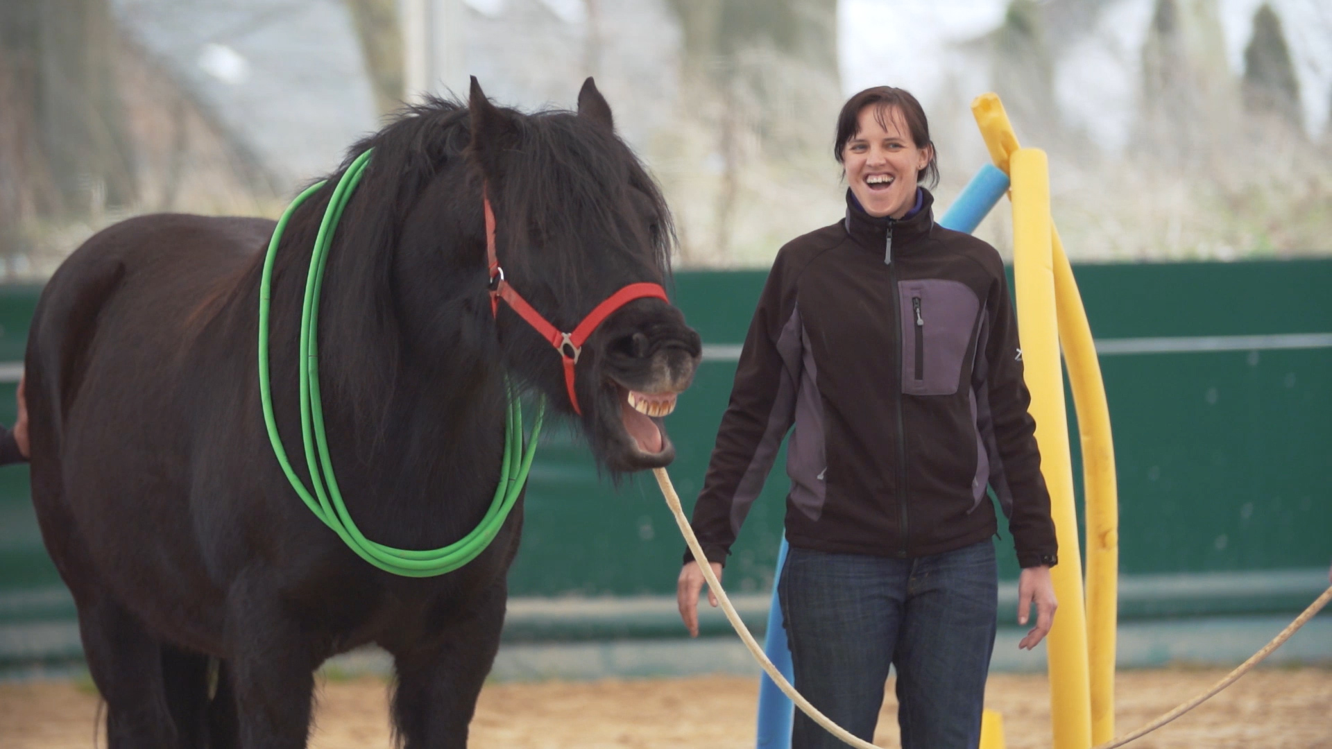 Das Pferd als Trainingspartner.