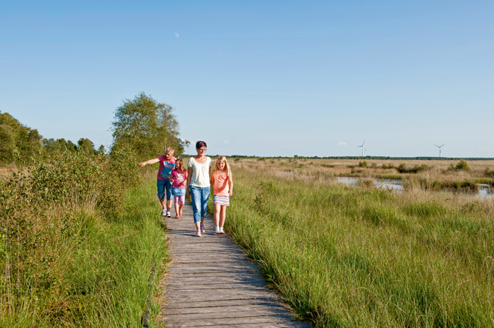 Bei einem Spaziergang durch die Natur gibt es viel zu entdecken. Das macht der ganzen Familie Spaß! 