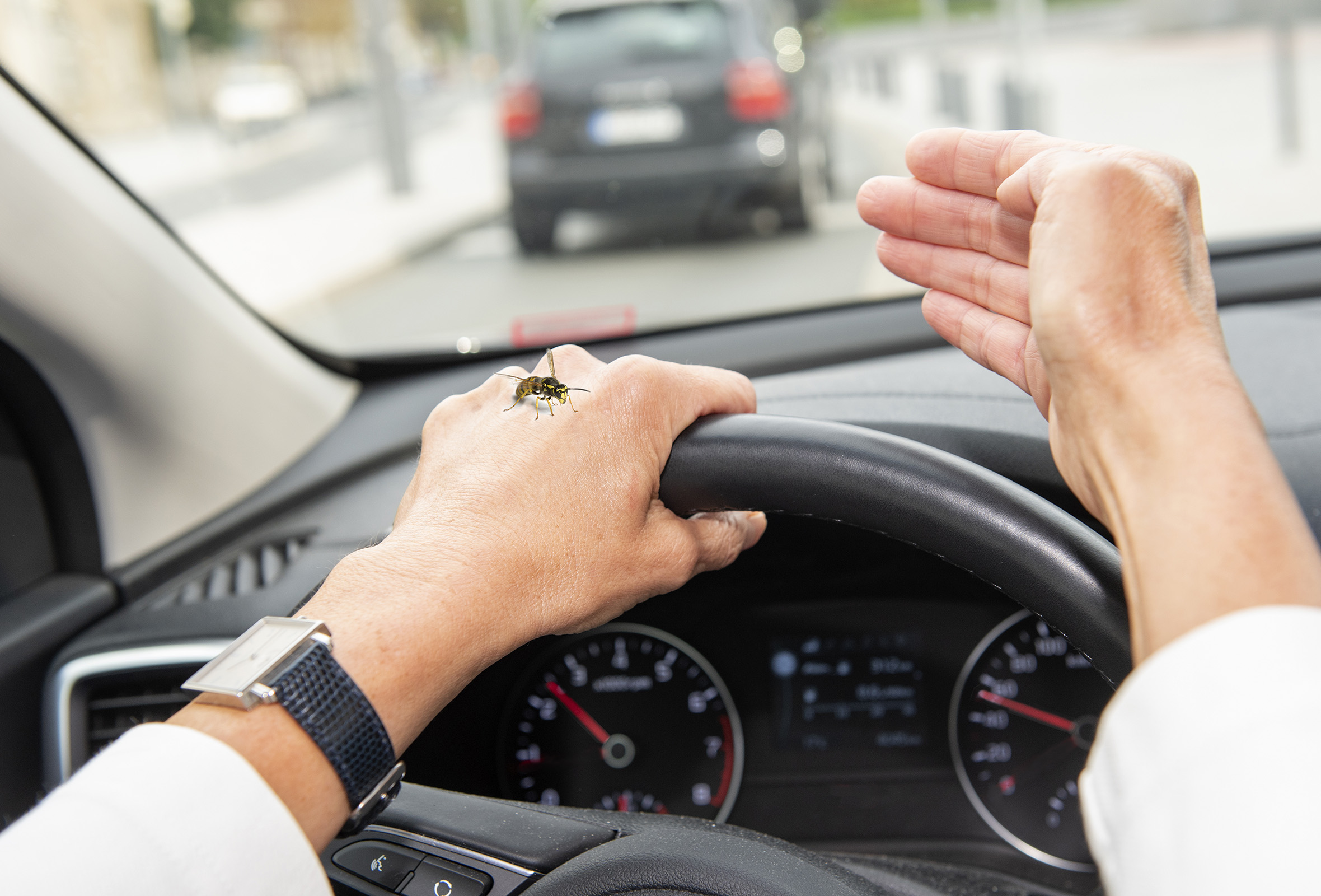 Wespe im Auto: Am besten schnell anhalten und den Störenfried an die Luft setzen. Foto: HUK-COBURG Wespe im Auto: Am besten schnell anhalten und den Störenfried an die Luft setzen. Foto: HUK-COBURG