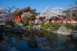 Japan-Fans erleben in 16 Tagen u.a. die 17 UNESCO-Weltkulturstätten von Kyoto, Tokyo u. Hiroshima