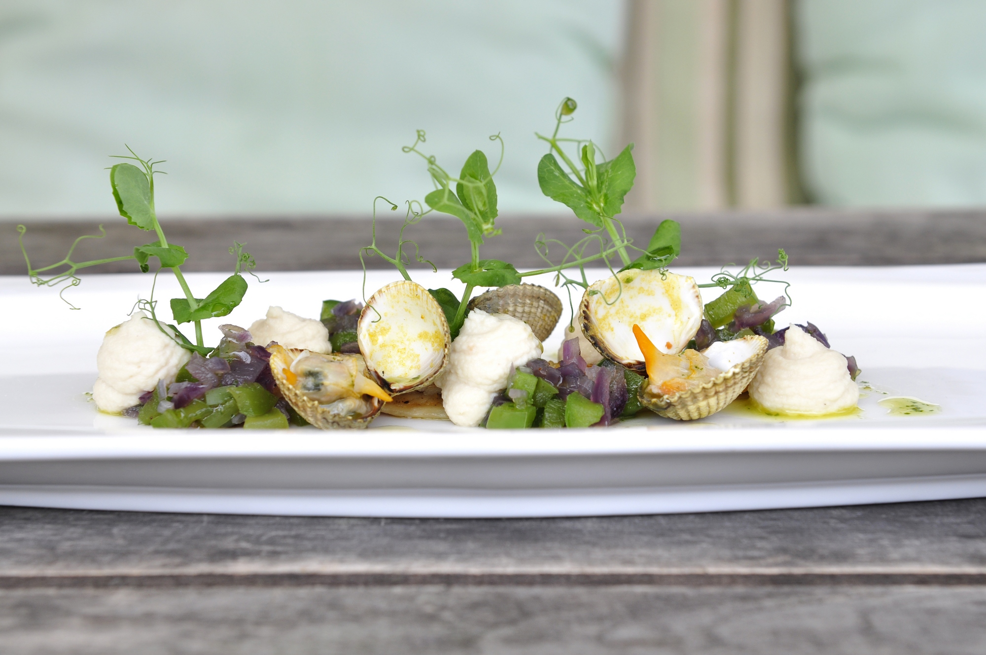 Texel Culinair (Bildquelle: Liselotte Schoo)