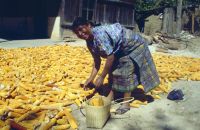 (Foto:Frank Herrmann)