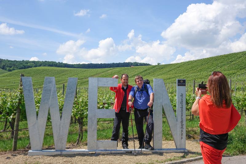 WEIN-Fotospot in der Neckar-Zaber Region