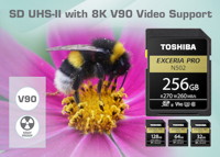 Toshiba Memory EXCERIA PRO N502 (Bild: Toshiba) Toshiba Memory EXCERIA PRO N502 (Bild: Toshiba)