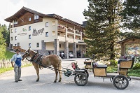 Pferdekutsche vor dem Hotel Steger-Dellai (c) Hannes Niederkofler (Hotel Steger-Dellai)