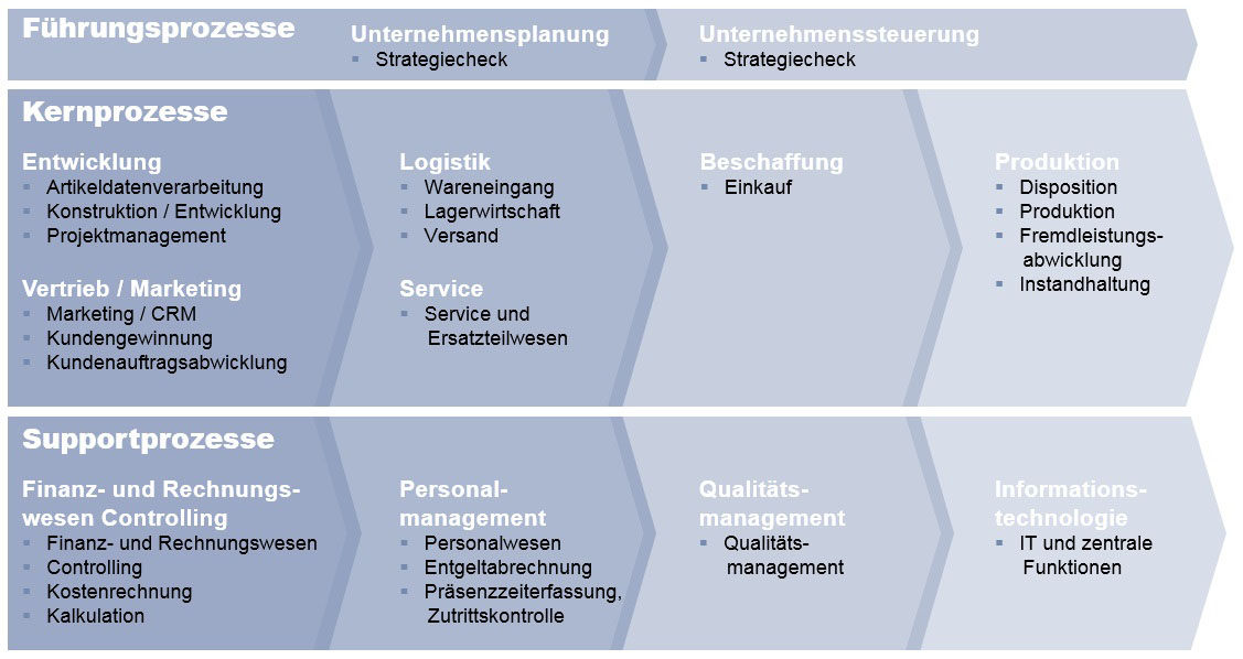 ERP-Audit: Eine systematische Analyse legt Verbesserungspotenziale frei (Bildquelle: MQ result consu