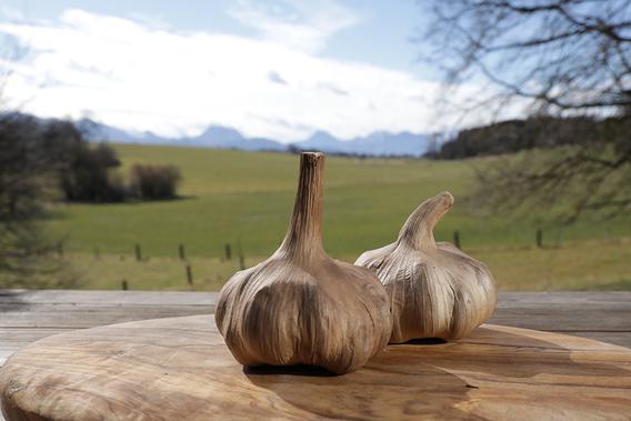 Schwarzer Bio Knoblauch Knolle Schwarzer Bio Knoblauch Knolle