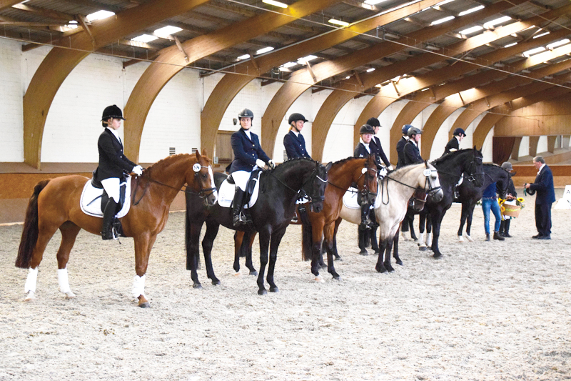 Das Herbst-Turnier im Harburger Reitverein wendet sich an junge Reiter, Anfänger und Späteinsteiger.