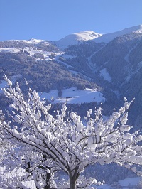 Winterlandschaft (WohlfühlHotel Schiestl) Winterlandschaft (WohlfühlHotel Schiestl)