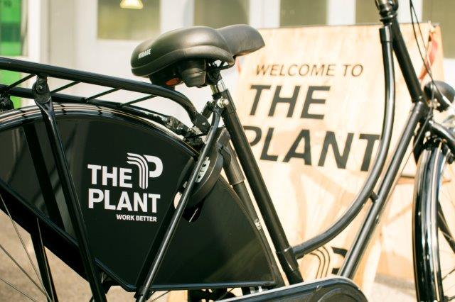 ThePlant Konstanz_(c) Marc Fuhrmann_BonsaiMedia