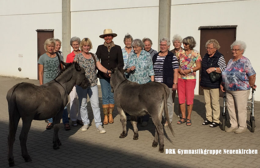 Annette Engelhardt und die Gymnastikgruppe des DRK Neuenkirchen mit"Ballermann-Esel" Joshi